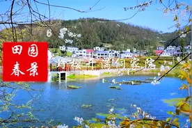 田园春景：野樱开满侗家院视频封面