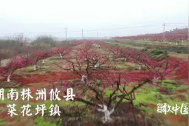瞰中国｜花都开好了视频封面
