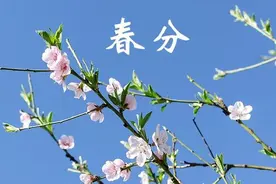 你知道“春分”用英语怎么翻译吗？丨双语说节气图片
