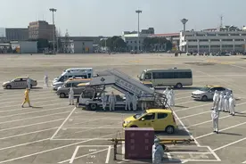 从确认到登机只有8小时 米兰华侨回顾慌乱回国之路：“其实有一点点后悔”图片