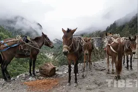 乡愁藏韵：穿越丙察察——在凶险中感受柔美（下）图片