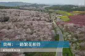 贵州：一路繁花相伴视频封面