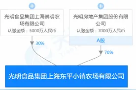 光明地产底价6.6亿摘得上海崇明一宗商住地图片