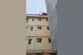 生死一瞬间！视频记录了东莞发生的这惊险一幕图片