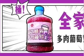 巨无霸“全家桶”水果茶漳州也有了！多肉葡萄特权季！超大份快乐啊！我喝到了图片