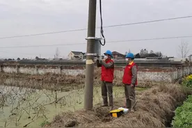 快速接电 海盐电力确保农户春耕春灌“电力十足”图片