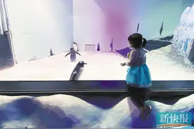 正佳极地海洋世界等景区复业图片