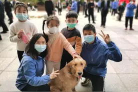 暖心闻丨山东医疗队撤离黄冈前 照顾了50多天的流浪狗“大黄”跑来“送别”图片