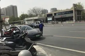 郑州市动物园开放后首个周末 私家车很多志愿者现场疏导防疫措施严格图片