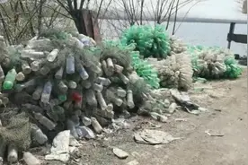 南京国家级湿地公园变身养殖场：未报备视频封面