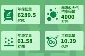 绿绿绿绿绿绿绿｜思客数理话图片