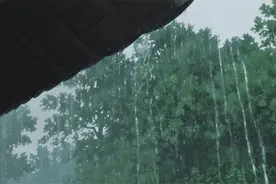 小的离谱！专治“懒得带伞”！扛的住6级风，防的了紫外线图片
