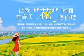 直播“云”赏花丨春光不负 我在春天“花”时间陪你图片