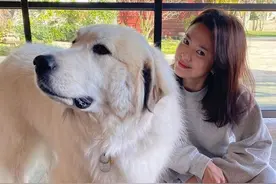 38岁宋慧乔近照曝光 一身运动装与爱犬合影笑容超甜图片