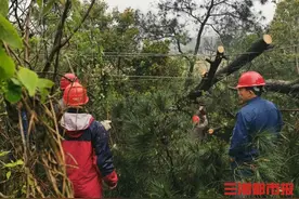 电闪雷鸣+狂风暴雨+冰雹，今天凌晨，你被惊醒了没？图片