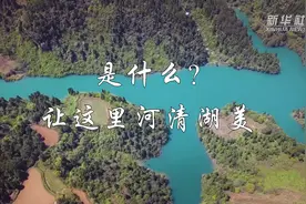 是什么让这里河清湖美？视频封面