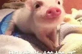 微信出“新皮肤”了图片
