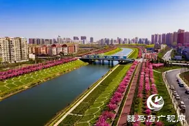 十里海棠花开 美艳春日西平图片