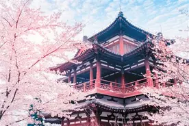 青龙寺赏樱图片