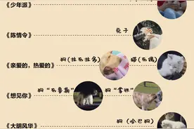 9个月参演超12部剧，宠物演员绝不是走过场丨揭秘图片
