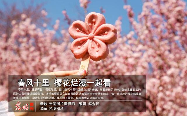 樱花校园旧版本农场（春风十里 樱花烂漫一起看）