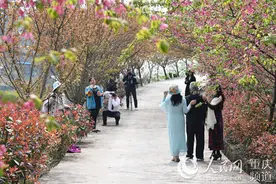 丰都虎威千亩花海惹人醉图片