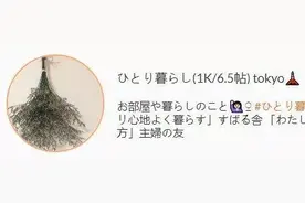 日本一小姐姐租房独自奋斗的日常，平淡又积极图片