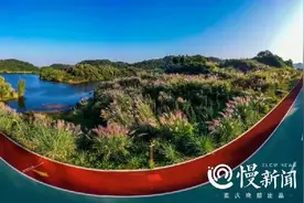 赏花踏青走起！我市新增一大波3A、4A级景区图片