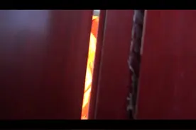 “家里的狗被蝙蝠咬后死亡”鲁甸消防接到求助后帮助群众抓蝙蝠图片