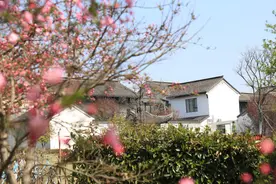 疫情渐远、春日已到，草长莺飞、桃樱竞开，来这桃源深处，度一段隐居时光图片