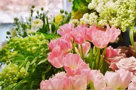 在杭州一家神秘花店里，我发现了春天图片