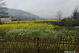 一个人真正成熟的三个标志图片