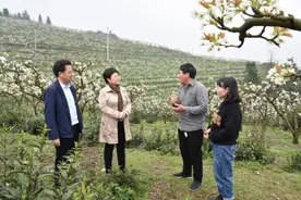 谢学龙到古塘乡调研督战脱贫攻坚图片