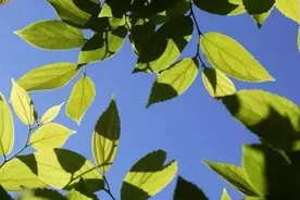生活选择图片