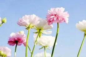 “三月不调养，整年徒悲伤”！3-4月，一年中最佳养生时段图片