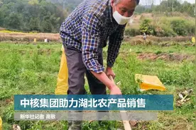 中核集团助力湖北农产品销售视频封面