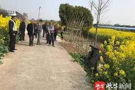 电三轮上四老人翻进油菜田，他们的年龄加起来超过300岁图片