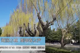 海滨小城 奏响春之声视频封面