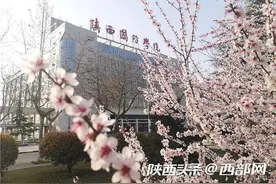 春天里的陕西｜陕西国防工业职业技术学院：暖风拂面沁花香 春满校园待你来图片