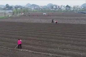 扶贫在行动｜贵州花茂村：产业复苏，防疫不放松视频封面