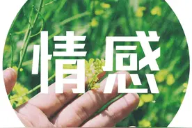 别把那个对你好的人弄丢了图片