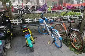 南宁出现首批上牌共享电动车！租借时，认准这个图片