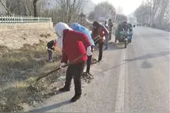 高店镇村村干净户户靓丽图片