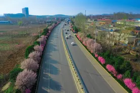 车在花中游！临沂这条最美公路惊艳了时光图片