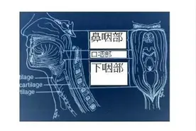 咽喉处长了个小肿块，检查后竟是恶性肿瘤？专家提醒出现下述症状时应引起重视图片
