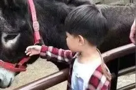 疫情宅家我是怎样带娃的？｜高爽图片