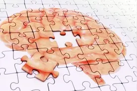 我国科学家精准“删除”动物特定记忆图片