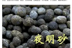 除了检出冠状病毒的蝙蝠屎，还有哪些重口味的“粪便类中药”存风险图片
