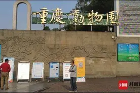 生活重启 | 重庆动物园重新开园了！全国医护人员今年内免费游园图片
