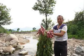 淘宝爱心助农带动贫困县农产品走出大山 土货鲜食频道月销售额超过6亿元图片